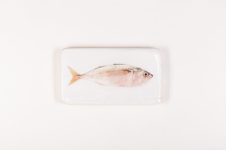 Pink mackerel (35cm x 20cm)