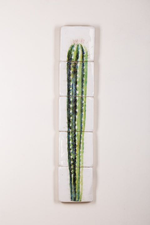 Rijksmuseum cactus (20cm x 100cm)