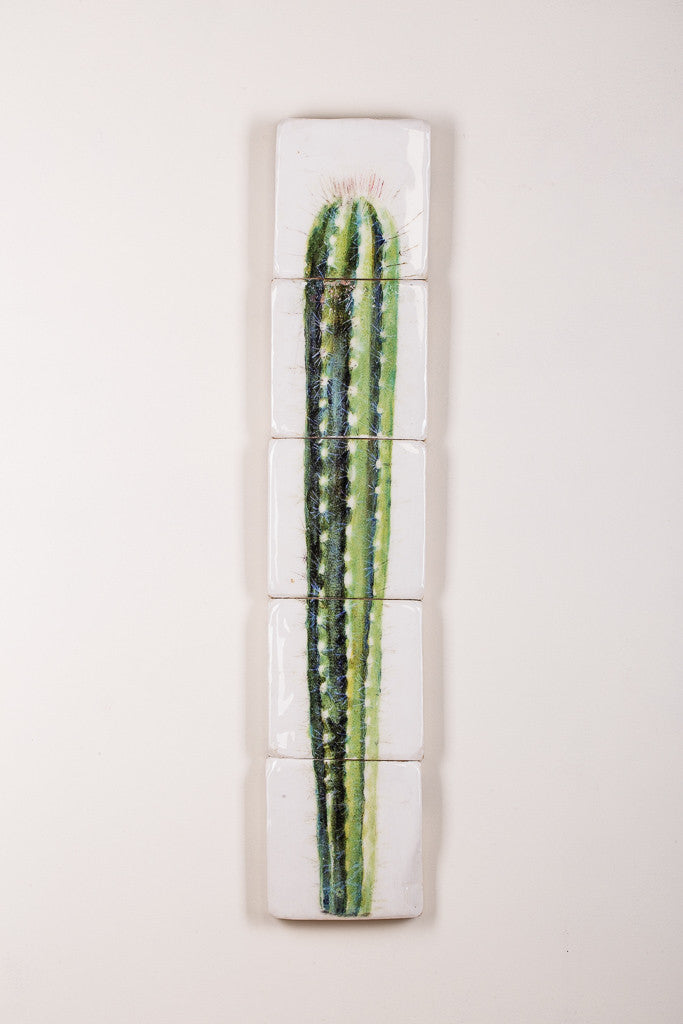 Rijksmuseum cactus (20cm x 100cm)