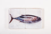 Albacore tuna (40cm x 24cm)