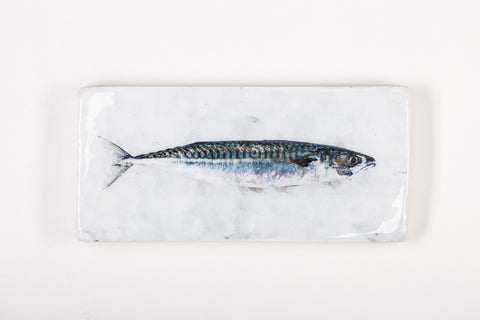 Mackerel (40cm x 20cm)