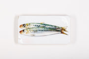 Green sardines (35cm x 20cm)