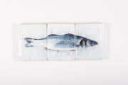 Blue sea bass (60cm x 24cm)