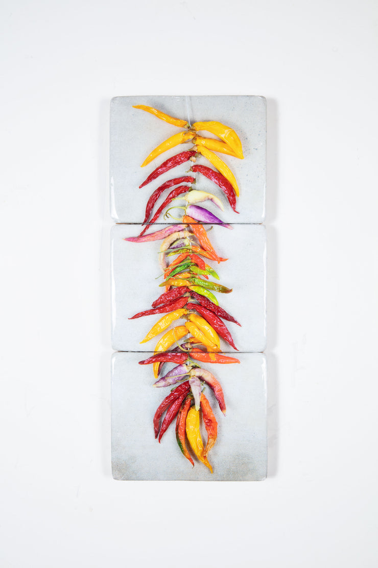 String of coloured chili peppers on grey (24cm x 60cm)