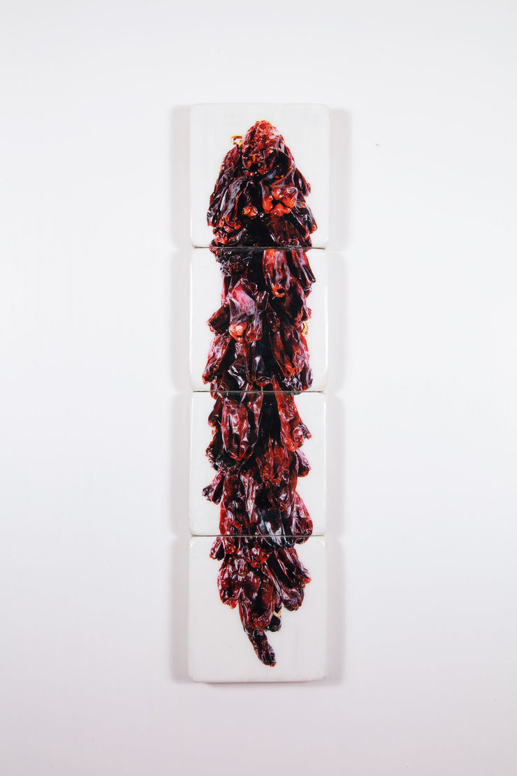 String of dried Guajillo peppers (20cm x 80cm)