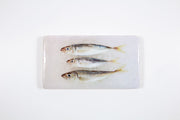 Three spanish horse mackerels #1 (35cm x 20cm)