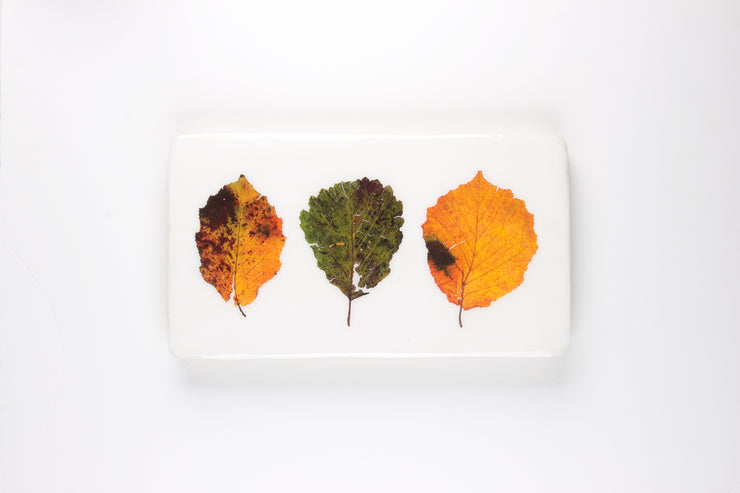 Three beech leaves (35cm x 20cm)