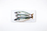Three mackerels on paper (35cm x 20cm)