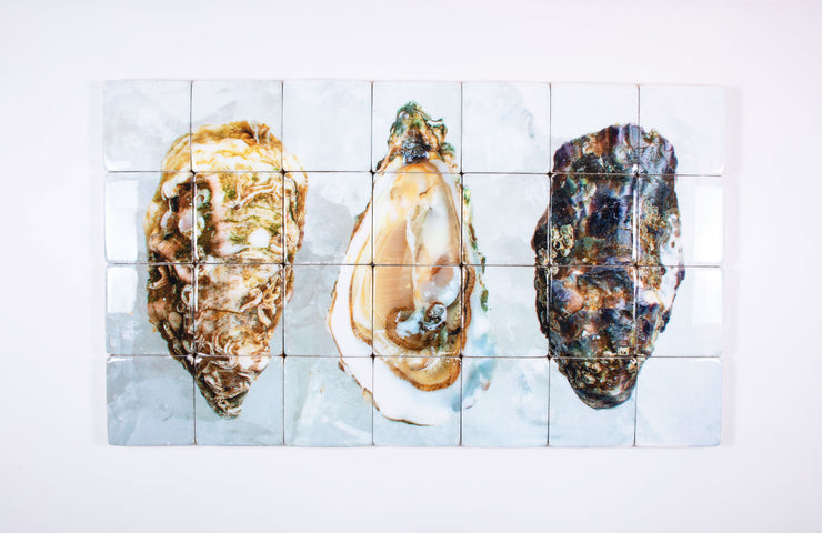 Three oysters (140cm x 80cm)
