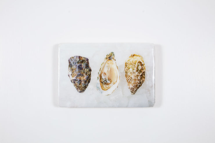 Three oysters (29cm x 20cm)