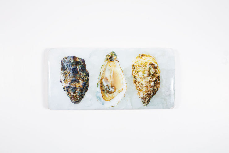 Three oysters (40cm x 20cm)