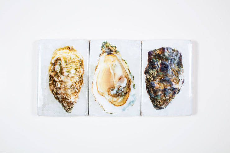 Three oysters (60cm x 29cm)