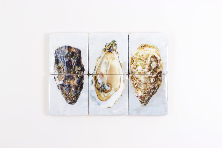 Three oysters (60cm x 40cm)