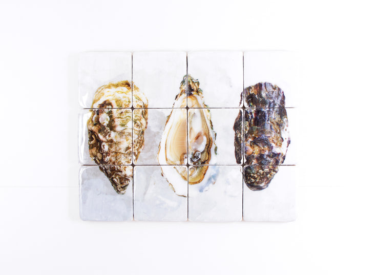 Three oysters (80cm x 60cm)