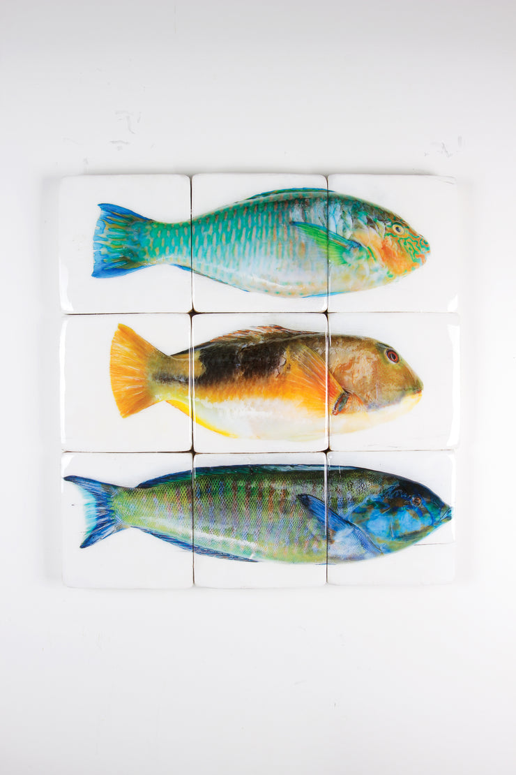Three parrot fishes (60cm x 60cm)