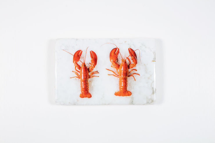 Twin lobsters (29cm x 20cm)
