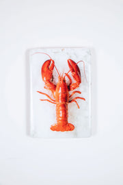 Twin lobster #1 (20cm x 29cm)