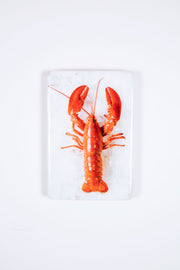 Twin lobster #2 (20cm x 29cm)