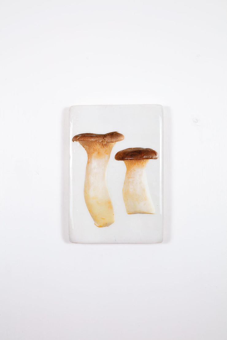 Two king oyster mushrooms (20cm x 29cm)