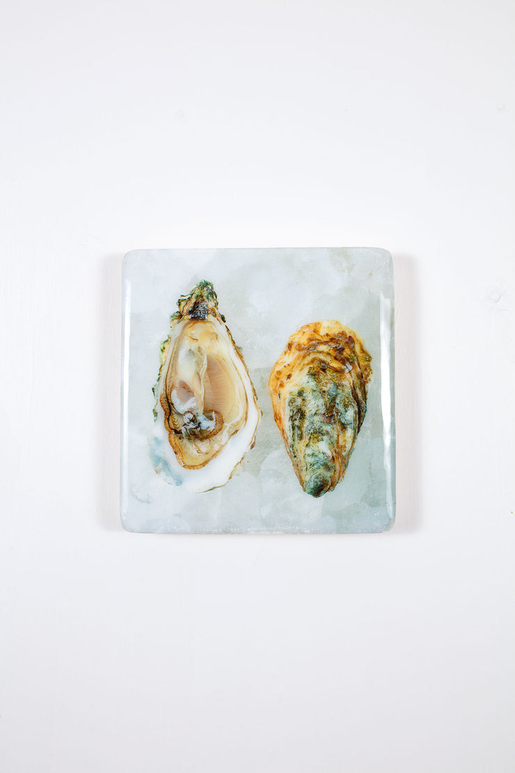 Two oysters (20cm x 20cm)