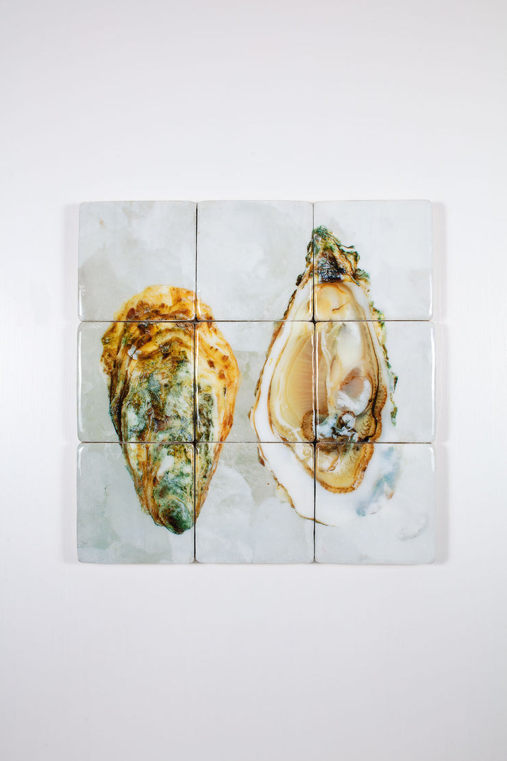 Two oysters (60cm x 60cm)