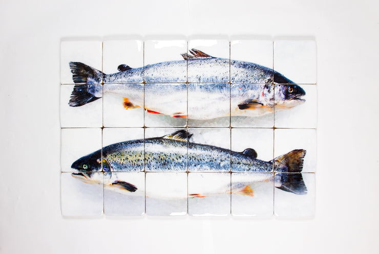 Two scottish salmon (120cm x 80cm)