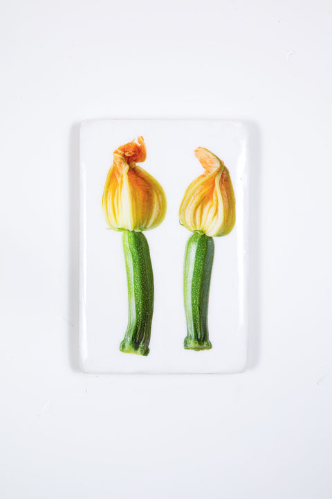 Two zucchini blossom (20cm x 29cm)
