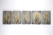 Wheat #3 (20cm x 29cm)