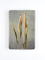Wheat #3 (20cm x 29cm)