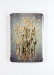 Wheat #5 (20cm x 29cm)