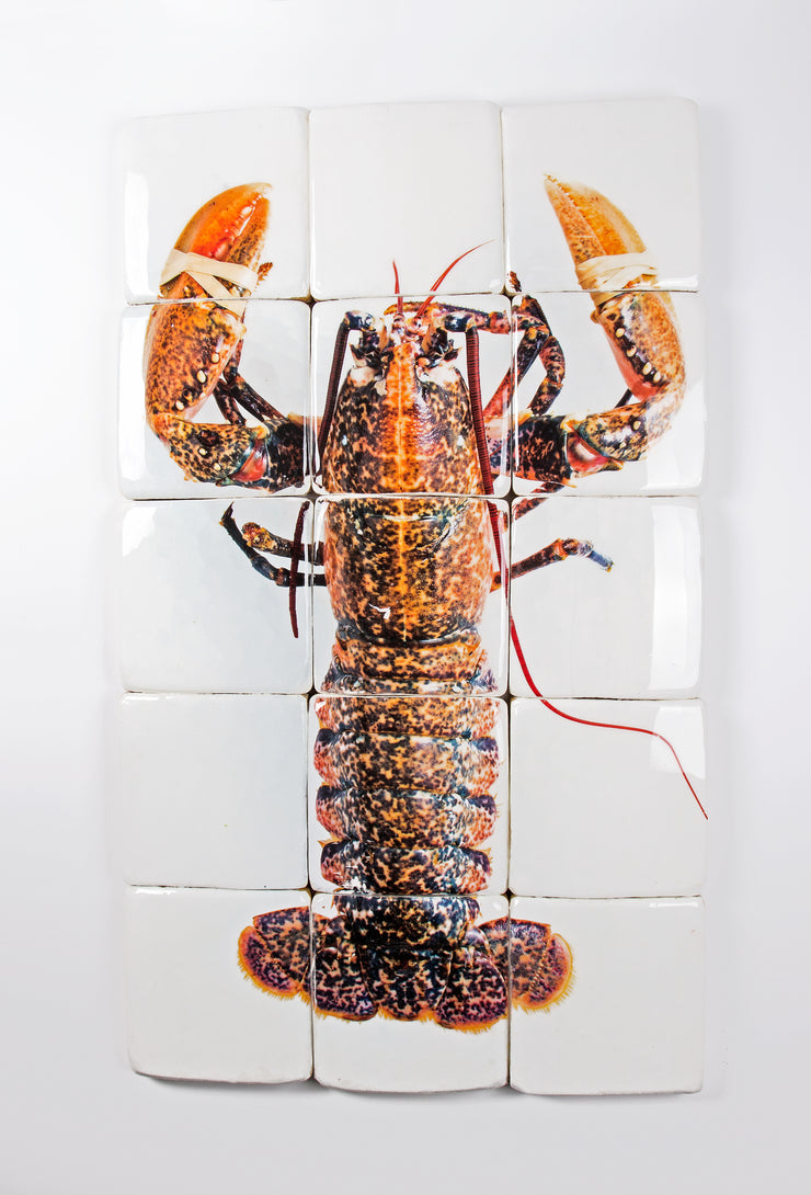 Yellow european lobster ((60cm x 100cm)