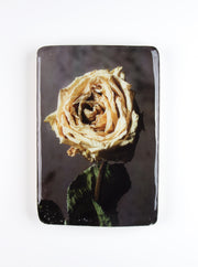 Yellow roses #5 (20cm x 29cm)