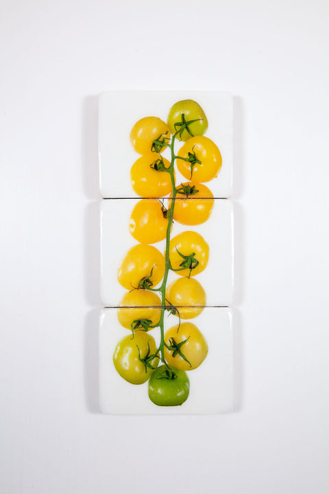 Yellow tomatoes (24cm x 60cm)