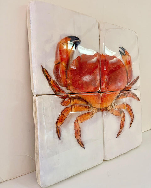 Portugese crab (40cm x 40cm)