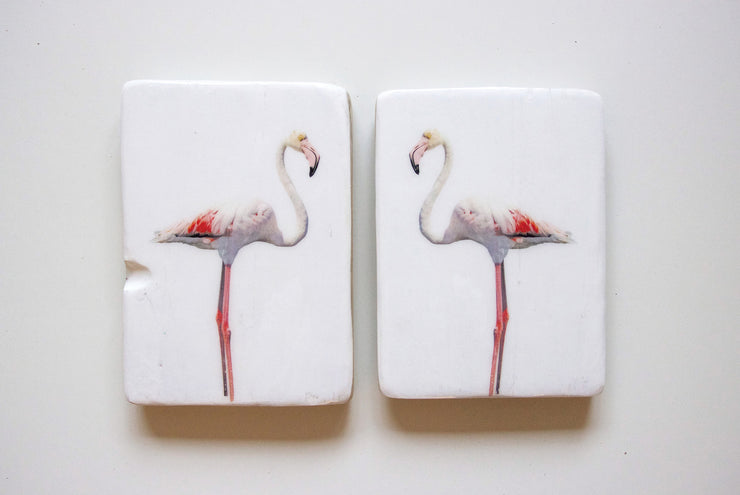 Flamingo (20cm x 27cm) - stigerwoods - 3